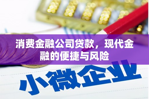 永州消费金融公司贷款，现代金融的便捷与风险