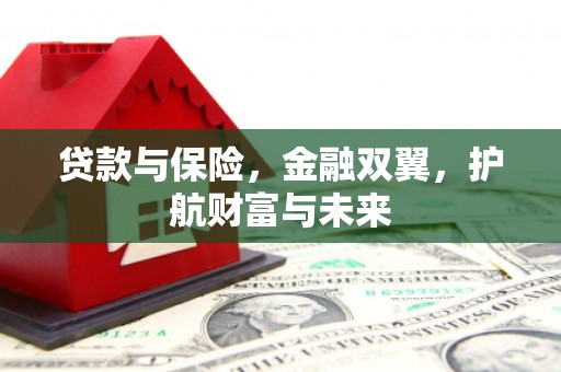 永州贷款与保险，金融双翼，护航财富与未来