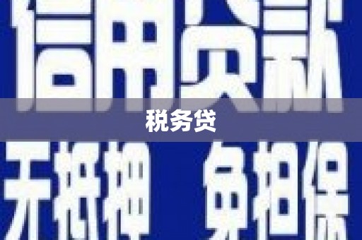 永州税务贷