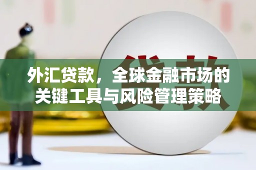 永州外汇贷款，全球金融市场的关键工具与风险管理策略