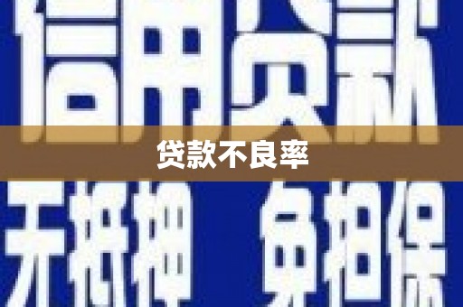 永州贷款不良率