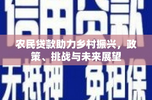 永州农民贷款助力乡村振兴，政策、挑战与未来展望