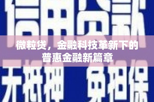 永州微粒贷，金融科技革新下的普惠金融新篇章