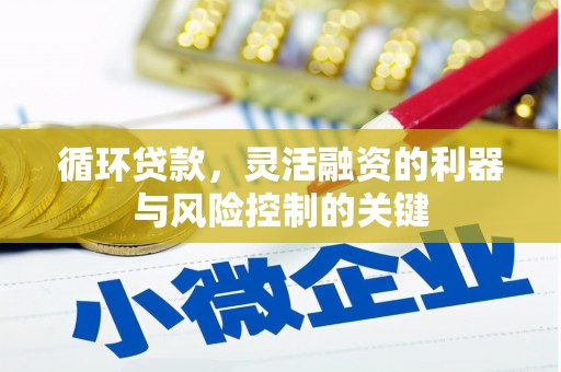 永州循环贷款，灵活融资的利器与风险控制的关键