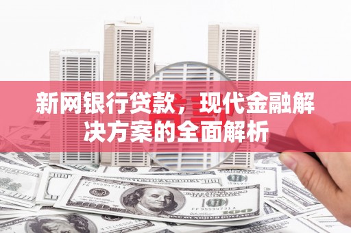 永州新网银行贷款，现代金融解决方案的全面解析