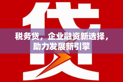 永州税务贷，企业融资新选择，助力发展新引擎
