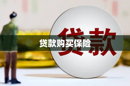 永州贷款购买保险