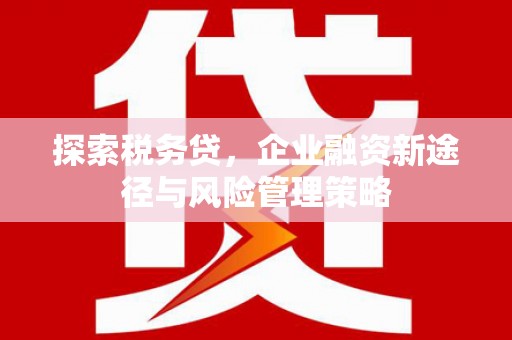 永州探索税务贷，企业融资新途径与风险管理策略