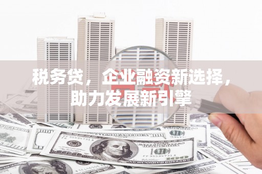 永州税务贷，企业融资新选择，助力发展新引擎