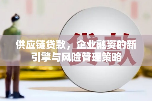永州供应链贷款，企业融资的新引擎与风险管理策略