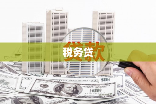 永州税务贷