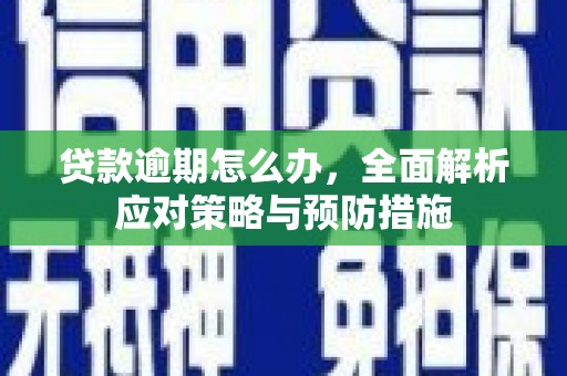 永州贷款逾期怎么办，全面解析应对策略与预防措施