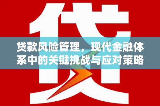 永州贷款风险管理，现代金融体系中的关键挑战与应对策略