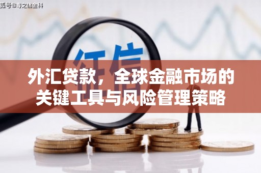 永州外汇贷款，全球金融市场的关键工具与风险管理策略