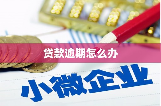 永州贷款逾期怎么办