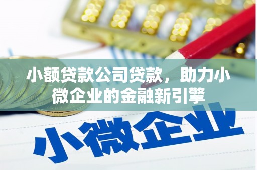 永州小额贷款公司贷款，助力小微企业的金融新引擎