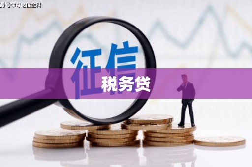 永州税务贷