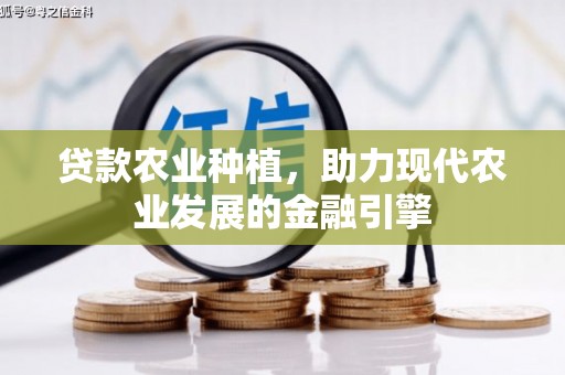 永州贷款农业种植，助力现代农业发展的金融引擎