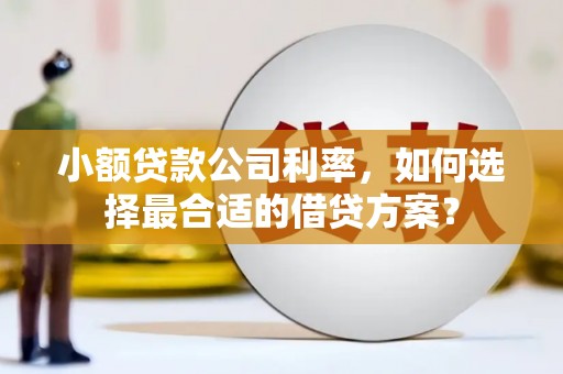 永州小额贷款公司利率，如何选择最合适的借贷方案？