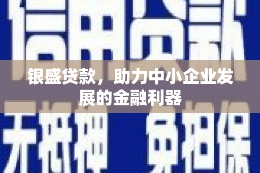 永州银盛贷款，助力中小企业发展的金融利器