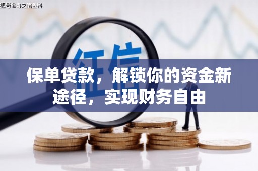 永州保单贷款，解锁你的资金新途径，实现财务自由