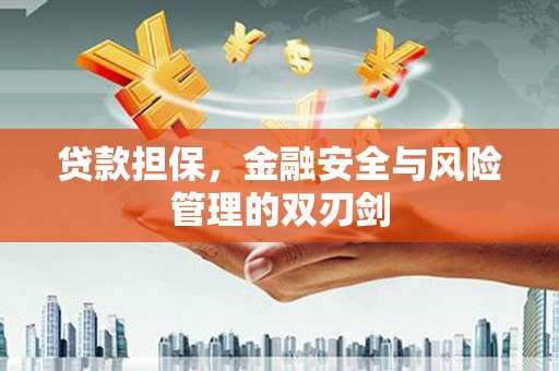 永州贷款担保，金融安全与风险管理的双刃剑