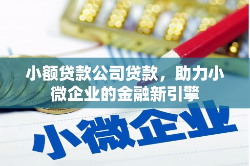 永州小额贷款公司贷款，助力小微企业的金融新引擎