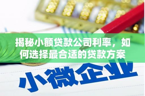 永州揭秘小额贷款公司利率，如何选择最合适的贷款方案
