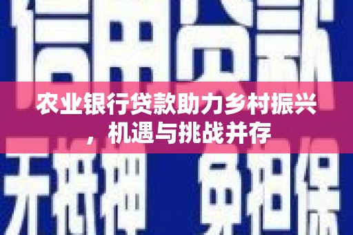 永州农业银行贷款助力乡村振兴，机遇与挑战并存