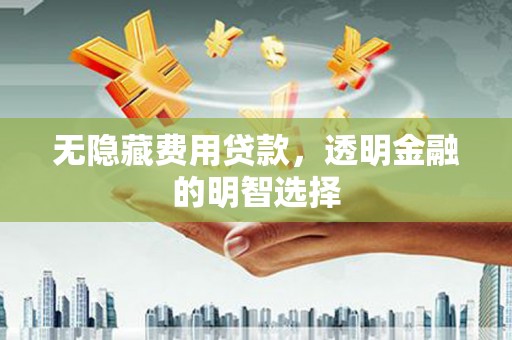 永州无隐藏费用贷款，透明金融的明智选择