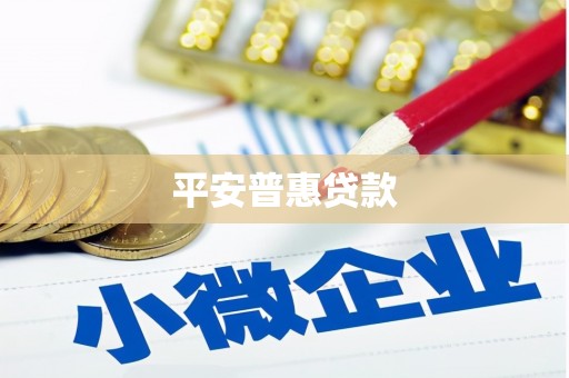 永州平安普惠贷款
