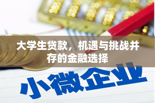 永州大学生贷款，机遇与挑战并存的金融选择
