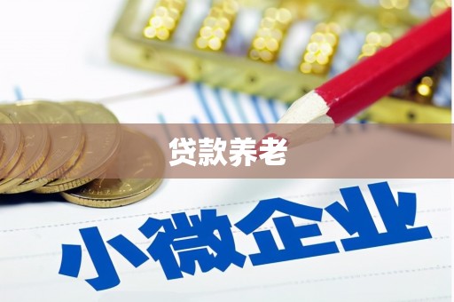 永州贷款养老