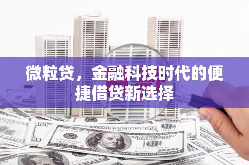 永州微粒贷，金融科技时代的便捷借贷新选择