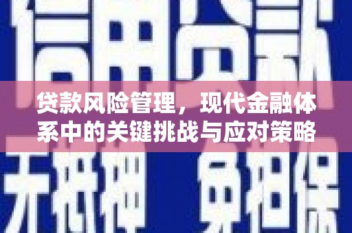 永州贷款风险管理，现代金融体系中的关键挑战与应对策略