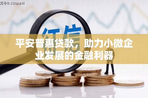 永州平安普惠贷款，助力小微企业发展的金融利器