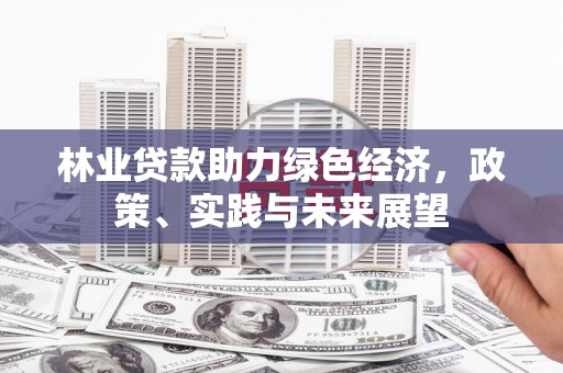 永州林业贷款助力绿色经济，政策、实践与未来展望