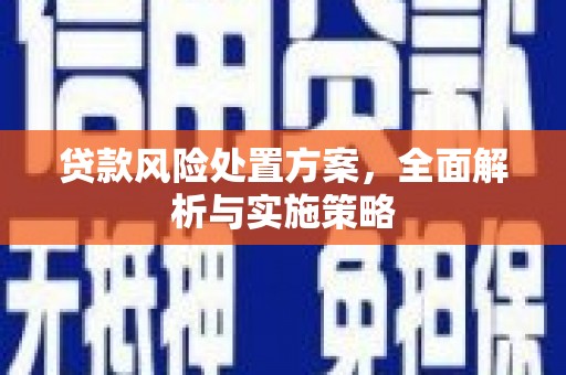永州贷款风险处置方案，全面解析与实施策略