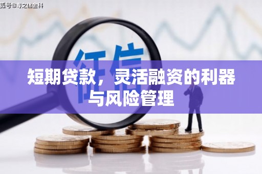永州短期贷款，灵活融资的利器与风险管理